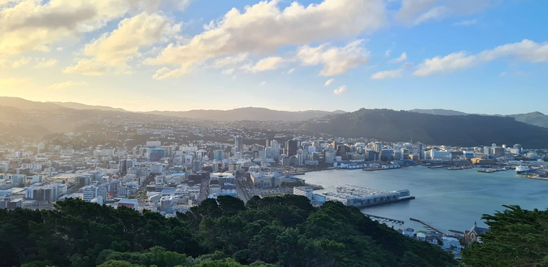 Wellington City: Panoramic view of Wellington harbour, surrounded by buildings and houses